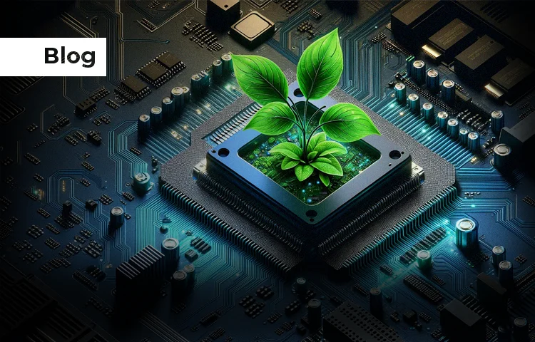 Green plant growing out of a microchip on a circuit board, symbolizing green computing.